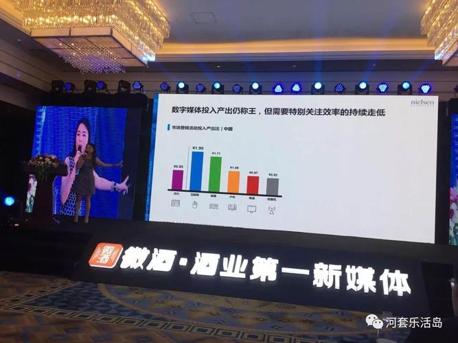河套老窖英雄系列 市场定位与品牌传播策略的全景解析